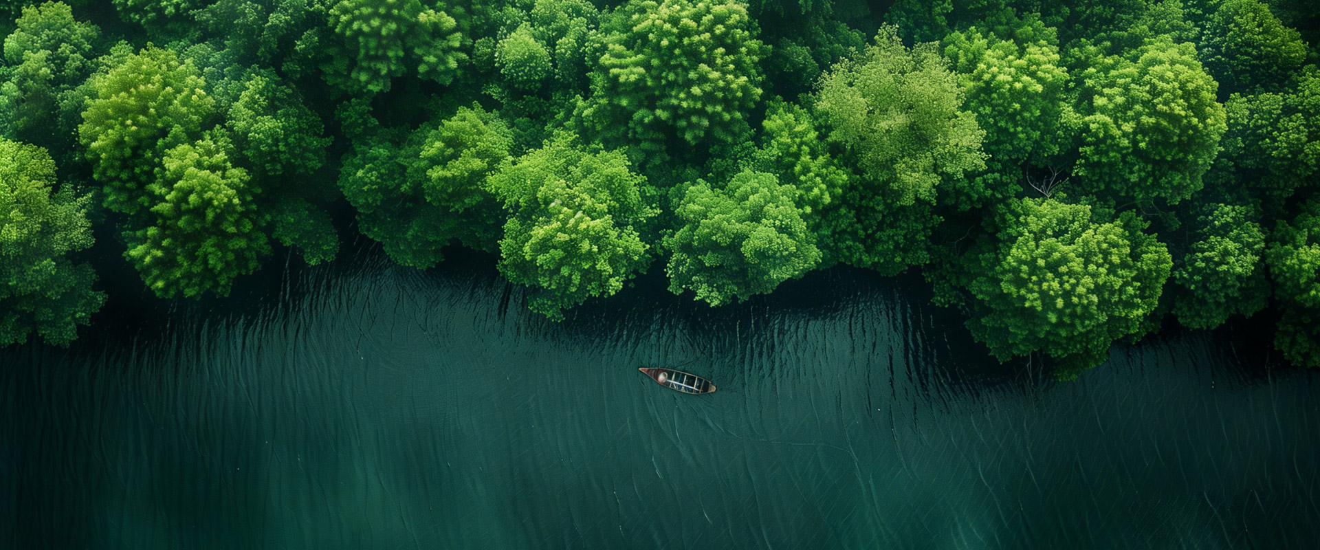 欧盟零毁林法案(EUDR)